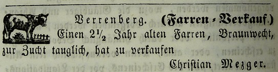 Christian Mezger verkauft einen Farren, Verrenberg 1855